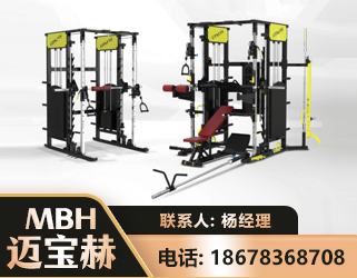十堰多功能综合训练器
