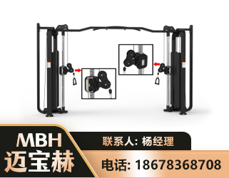 十堰大飞鸟训练器